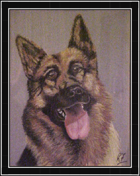 German Shepard Dog